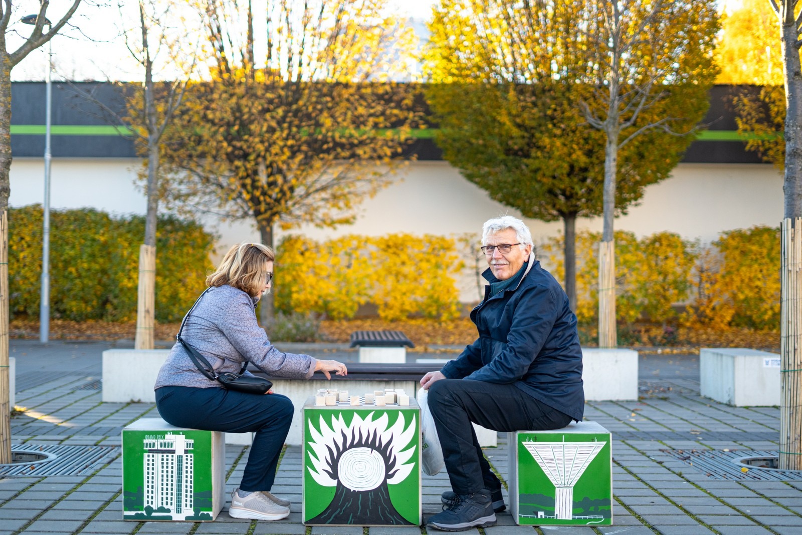 Photography 3 of project Public Chess with Figures