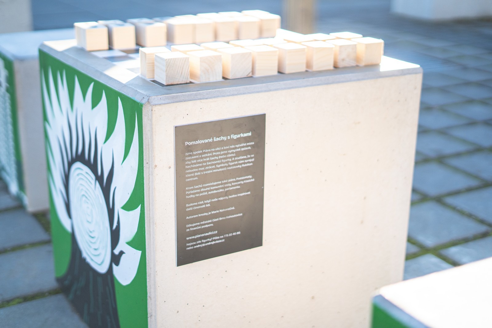 Photography 5 of project Public Chess with Figures